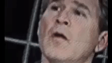 Tout pour être Heureux Bush